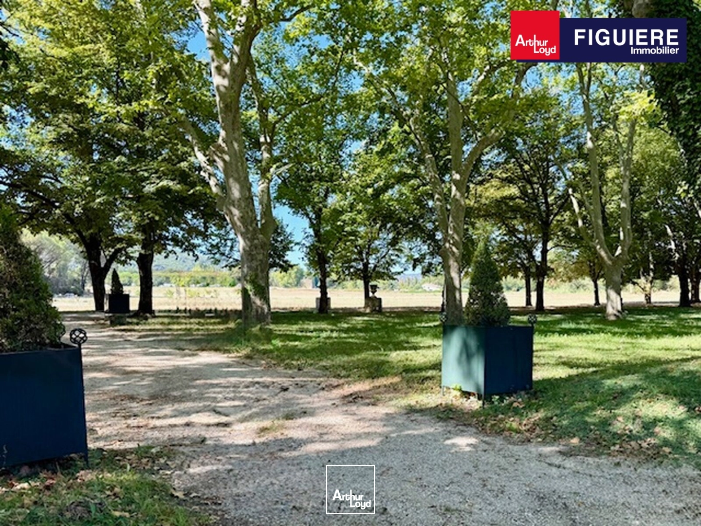 Locaux commerciaux - Vente - MALLEMORT - 13370 - 660-660 - 7840695