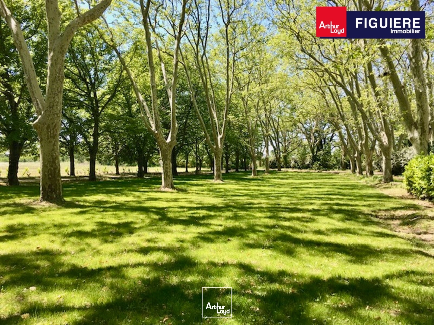 Locaux commerciaux - Vente - MALLEMORT - 13370 - 660-660 - 7840709