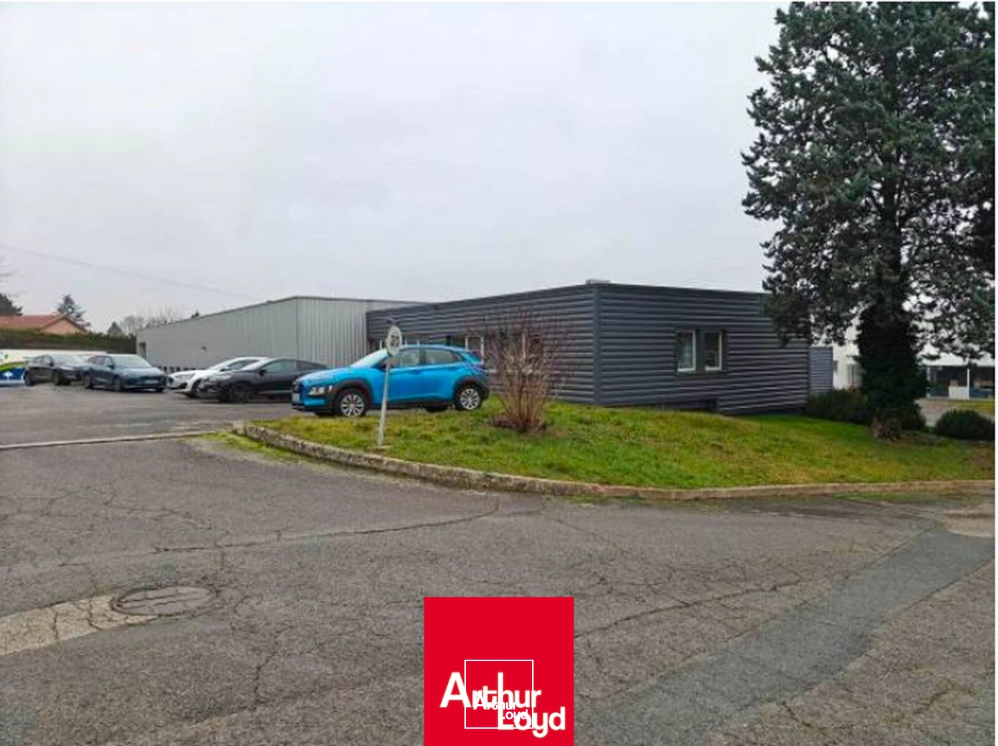 Locaux d'activité & Entrepôts - Vente - LIMAS - 69400 - 1272-1272 - 7842541