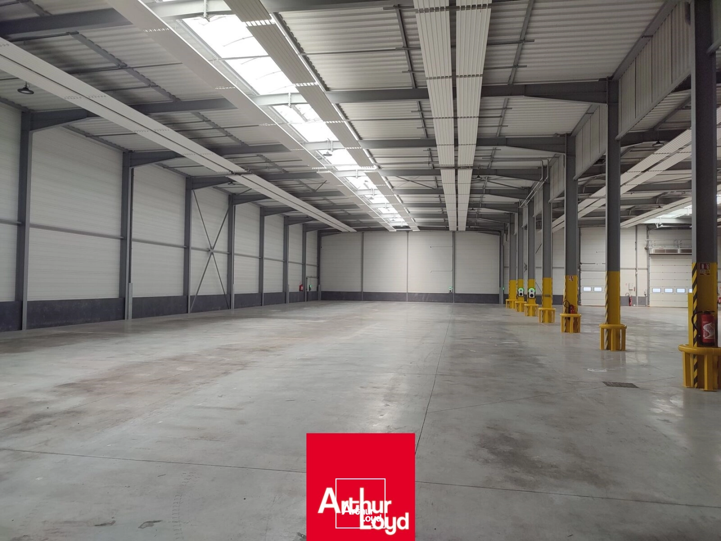 Locaux d'activité & Entrepôts - Vente - POMMIERS - 69480 - 2917-2917 - 7842560