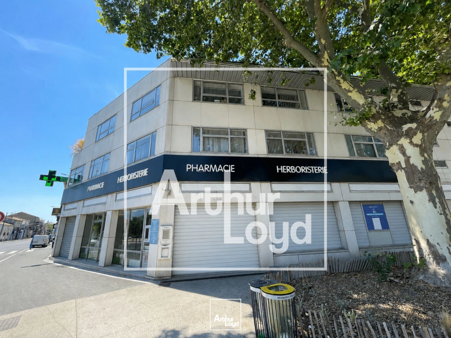 Bureaux - Location - MONTPELLIER - 34000 - 170-170 - 7848088