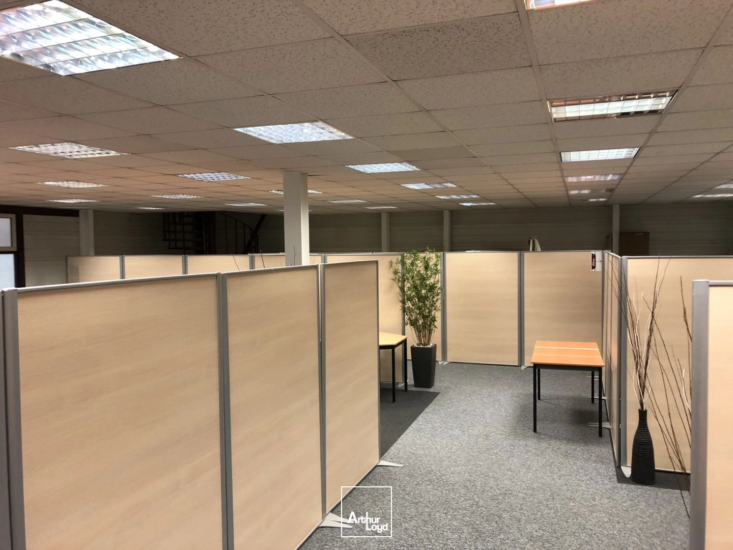 Locaux d'activité & Entrepôts - Location - GOUSSAINVILLE - 95190 - 1933-1933 - 7850986