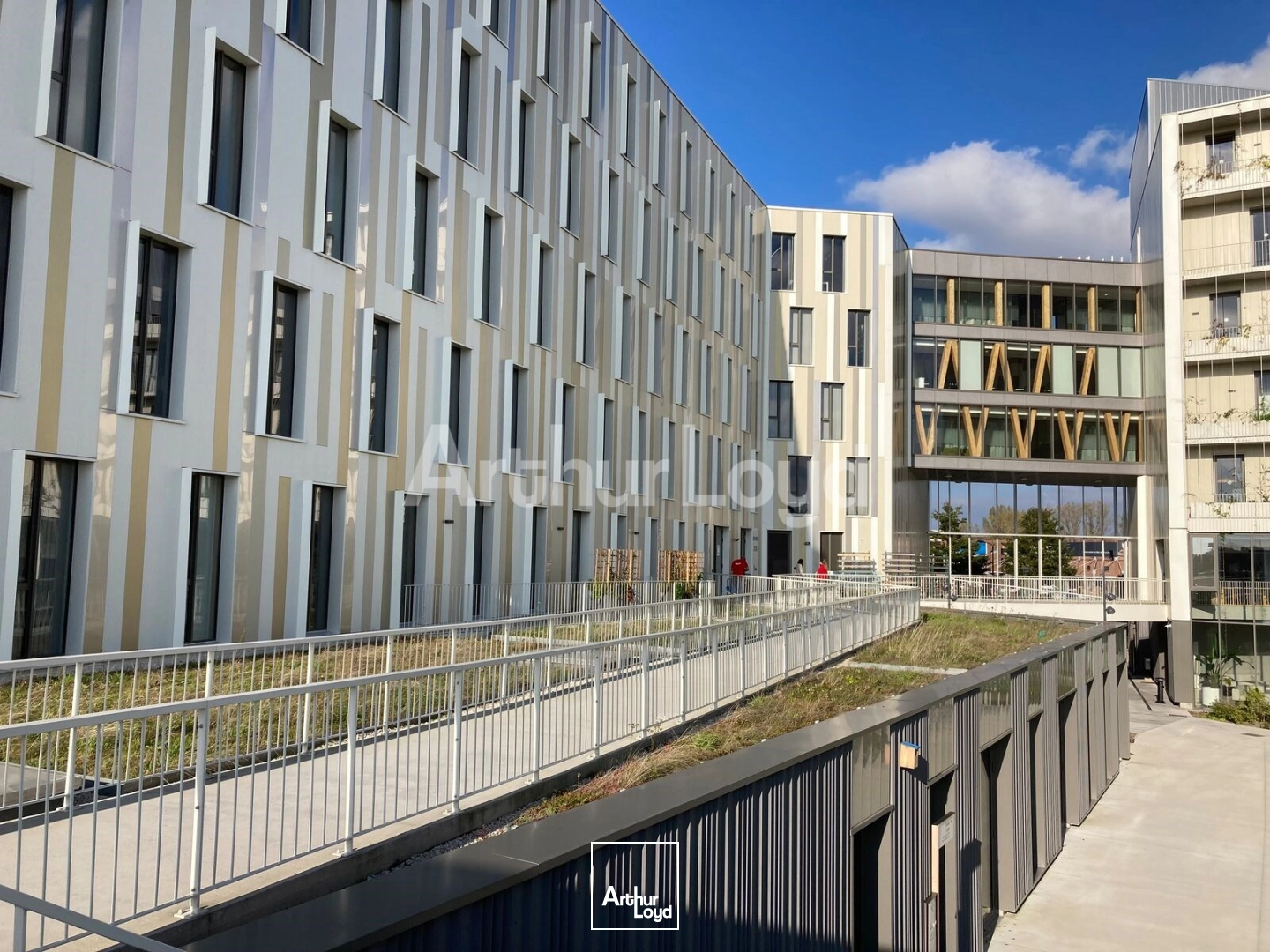 Bureaux - Location - VILLENEUVE D'ASCQ - 59650 - 1326-1326 - 7853557