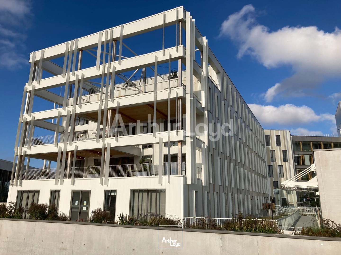 Bureaux - Location - VILLENEUVE D'ASCQ - 59650 - 1326-1326 - 7853560