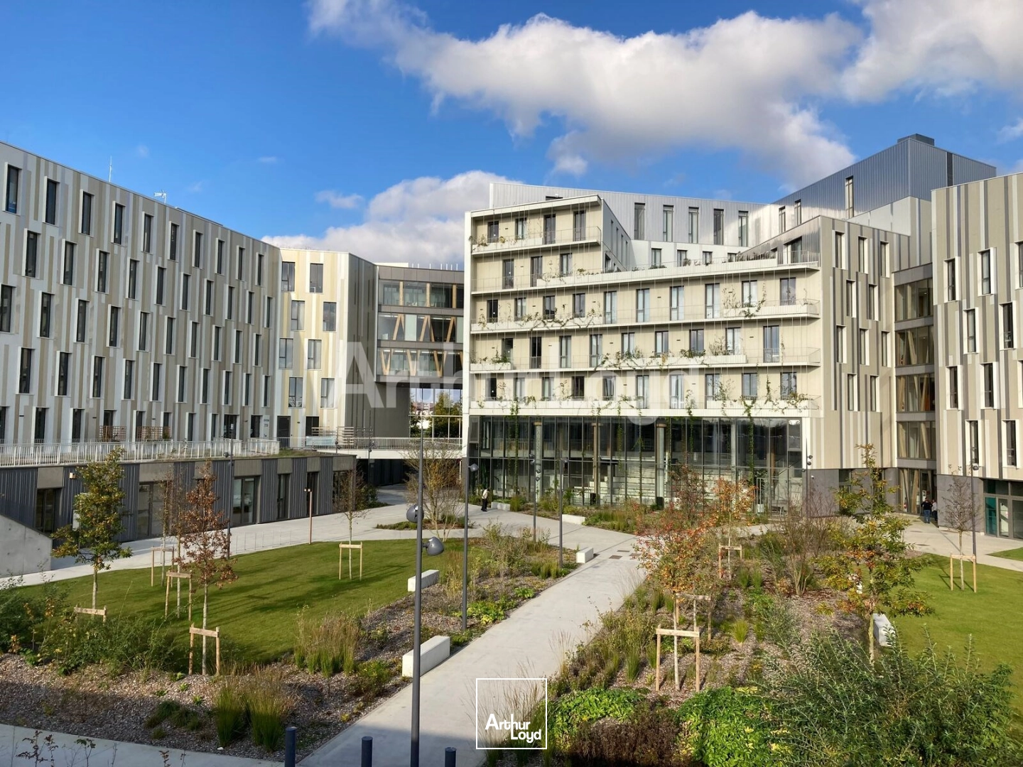 Bureaux - Location - VILLENEUVE D'ASCQ - 59650 - 1326-1326 - 7853561
