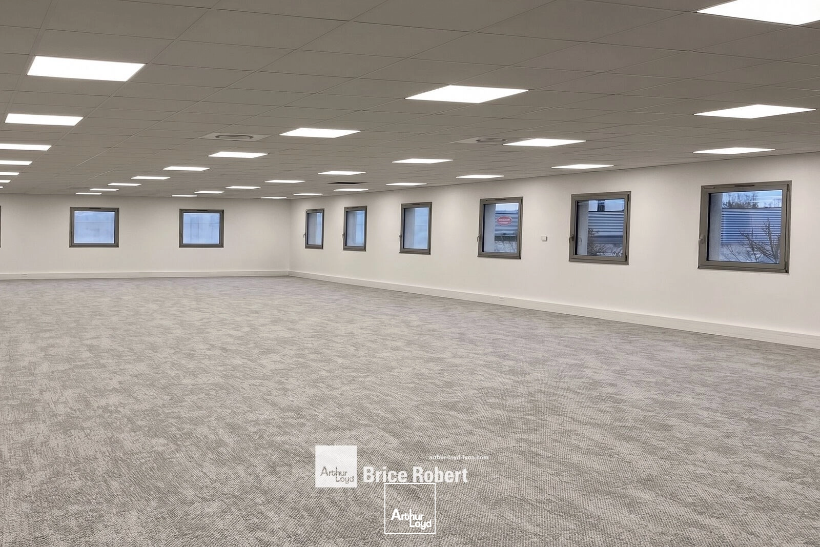 Bureaux - Vente - SAINT PRIEST - 69800 - 154.83-326 - 7856023