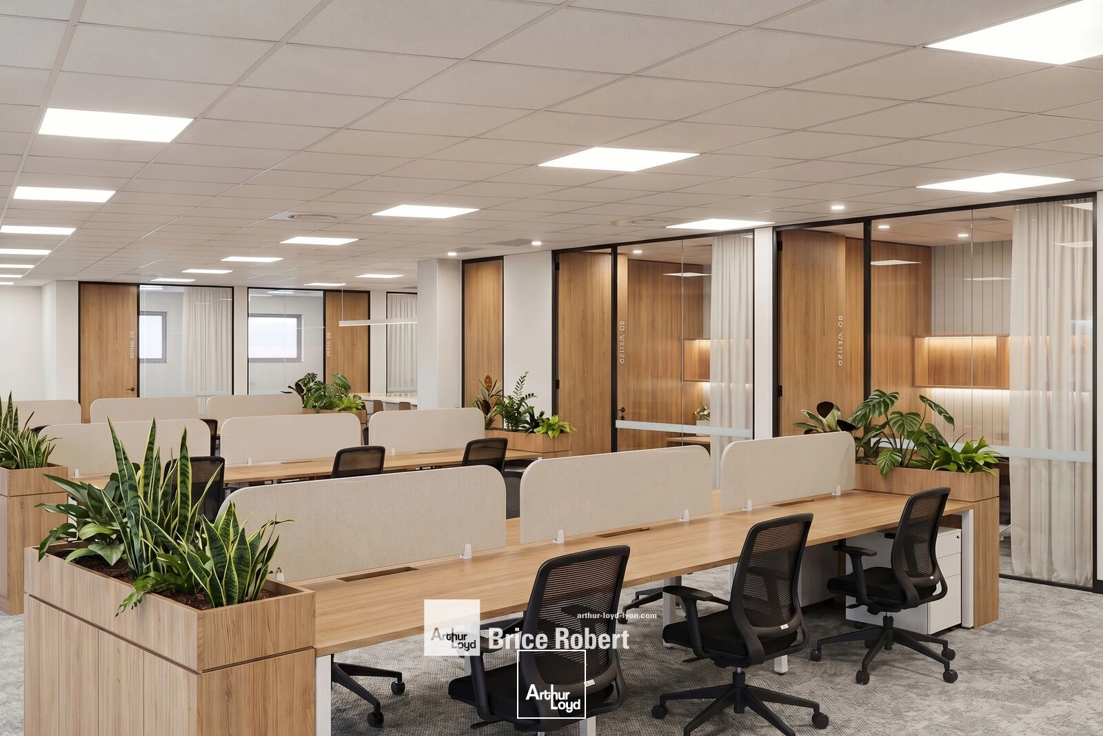 Bureaux - Vente - SAINT PRIEST - 69800 - 154.83-326 - 7856022