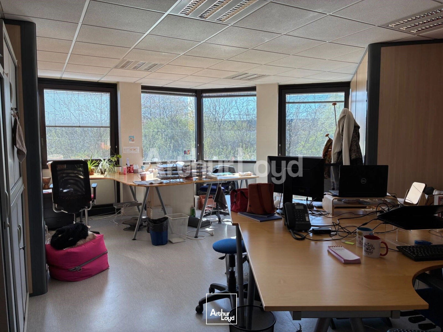 Bureaux - Location - VILLENEUVE D'ASCQ - 59650 - 1177-1177 - 7858328