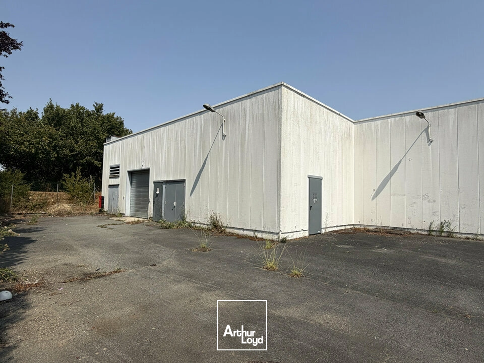 Locaux commerciaux - Location - BLANZAC-LÈS-MATHA - 17160 - 1421-1421 - 7858612