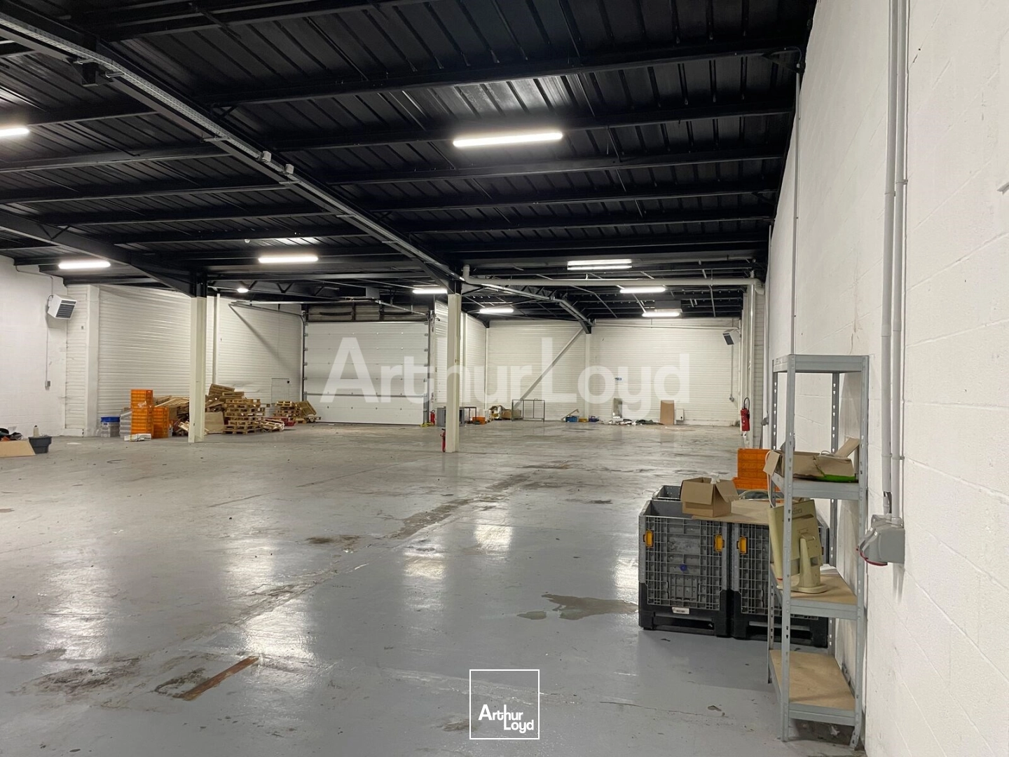 Locaux d'activité & Entrepôts - Location - LA SENTINELLE - 59174 - 738-738 - 7865284