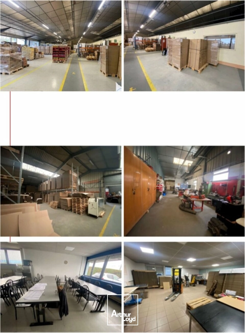 Locaux d'activité & Entrepôts - Vente - BISCHHEIM - 67800 - 1632-1632 - 7867892