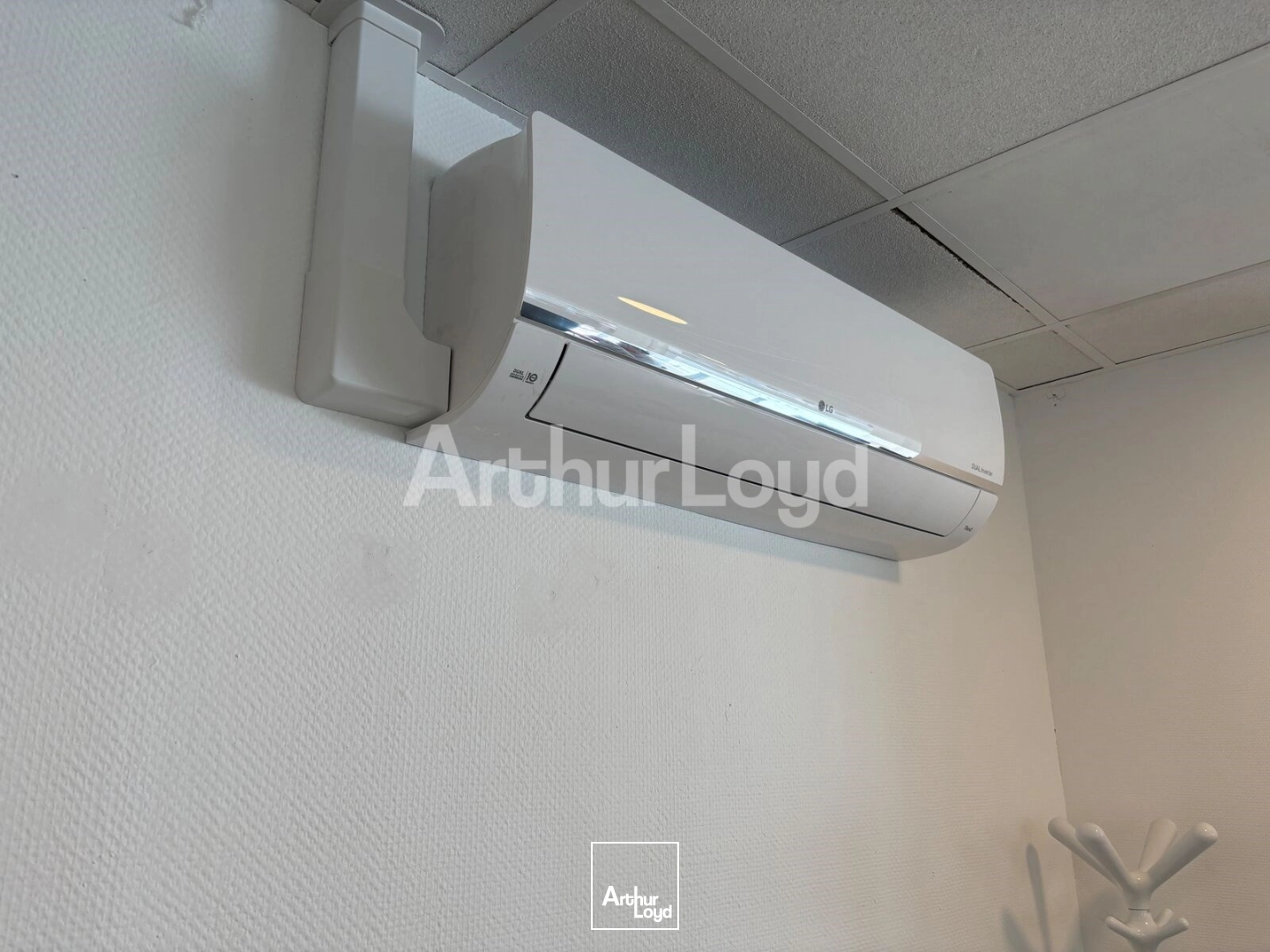Locaux commerciaux - Location - DOUAI - 59500 - 170-170 - 7873434