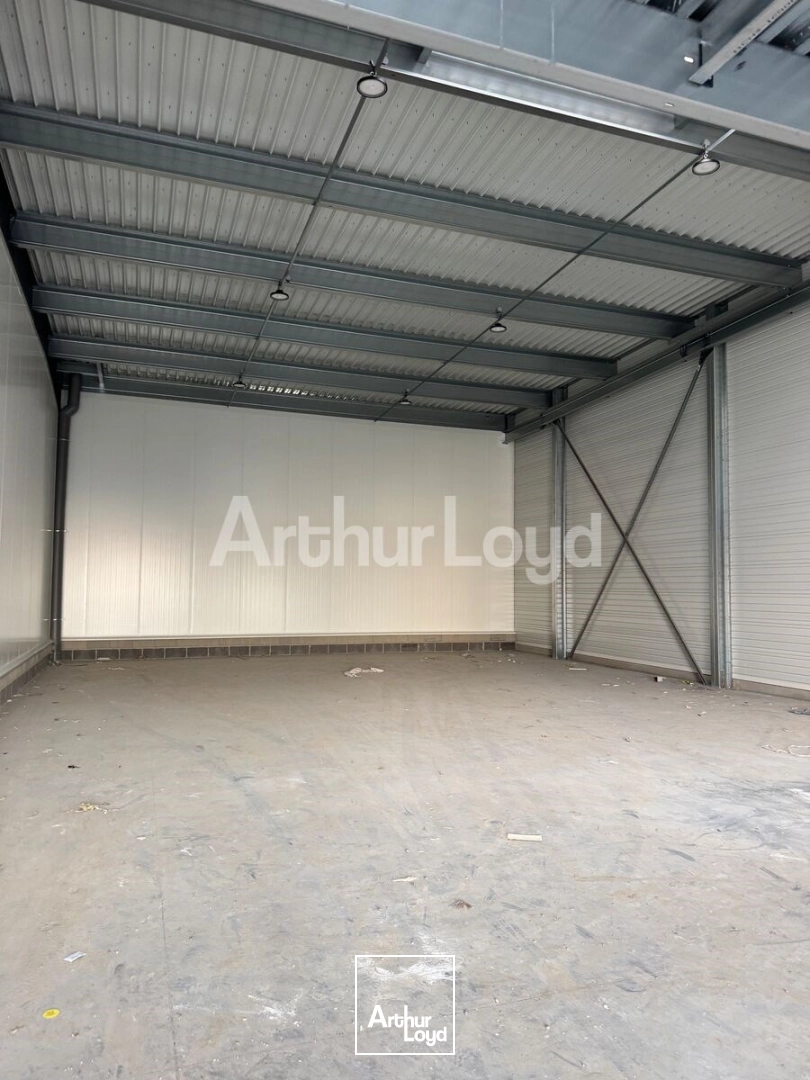 Locaux d'activité & Entrepôts - Location - SECLIN - 59113 - 381-8774 - 7873510
