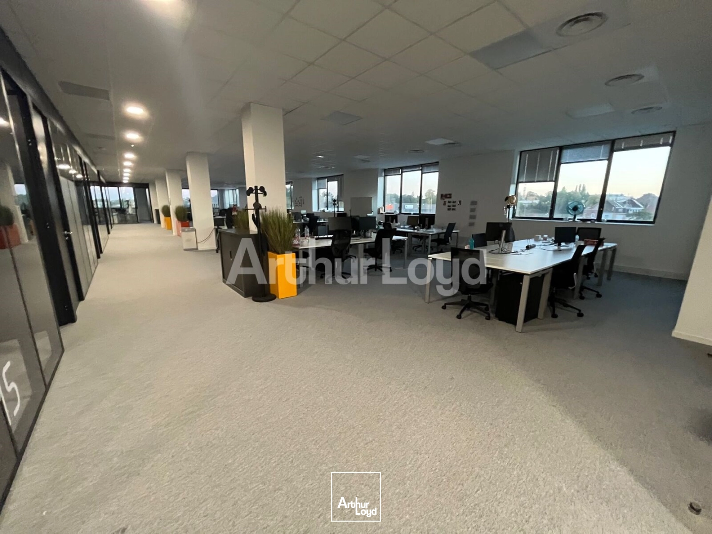 Bureaux - Location - CROIX - 59170 - 2654-2654 - 7873891