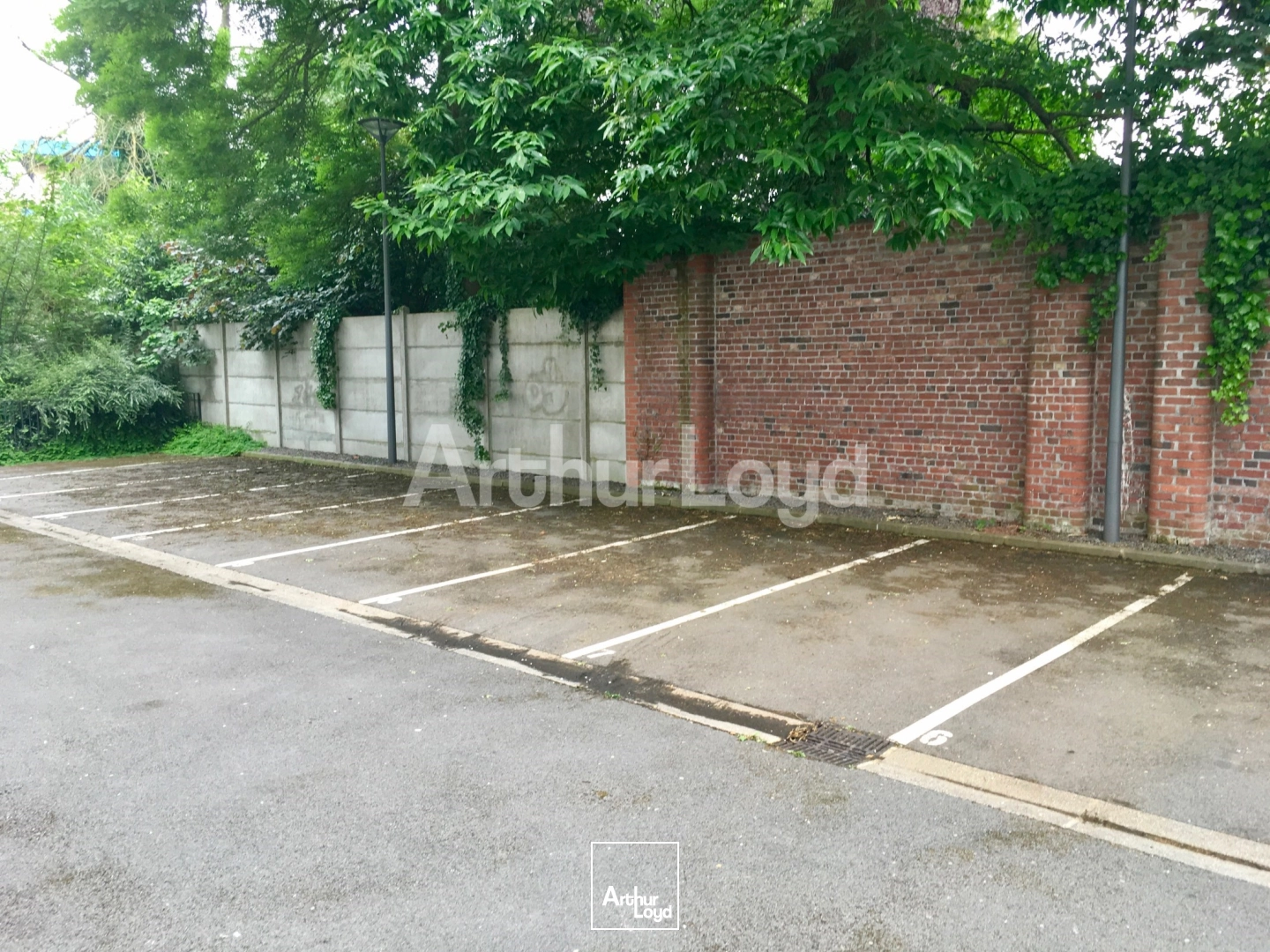 Bureaux - Location - TOURCOING - 59200 - 849-849 - 7874371