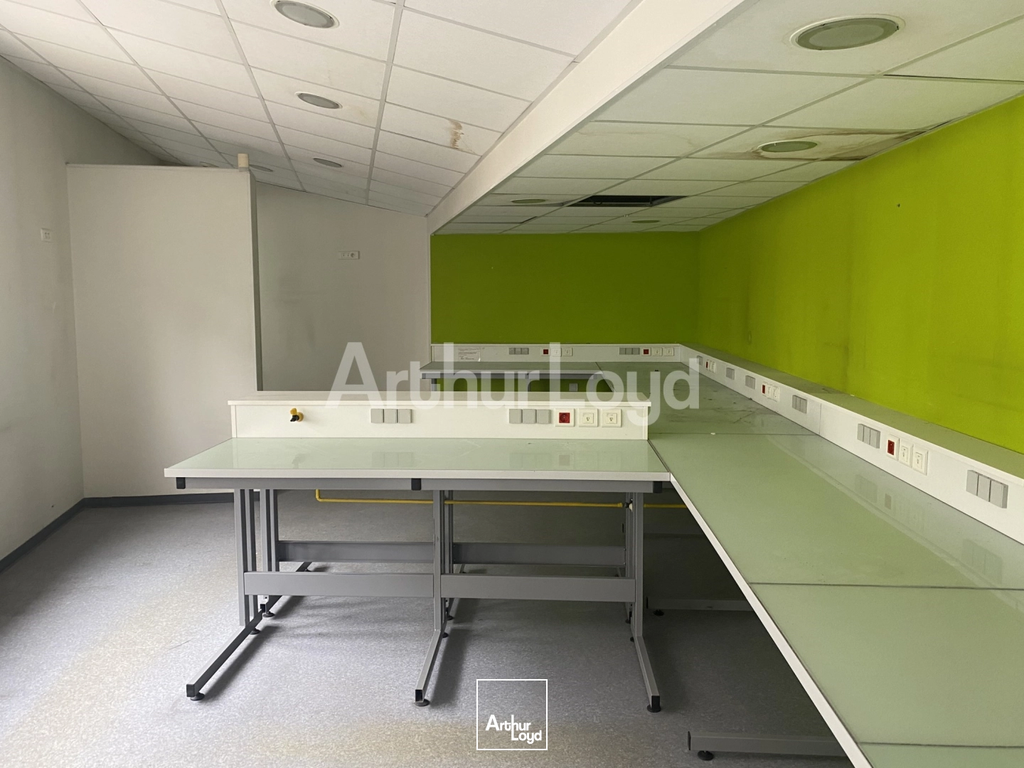 Bureaux - Vente - LILLE - 59000 - 150-150 - 7874422