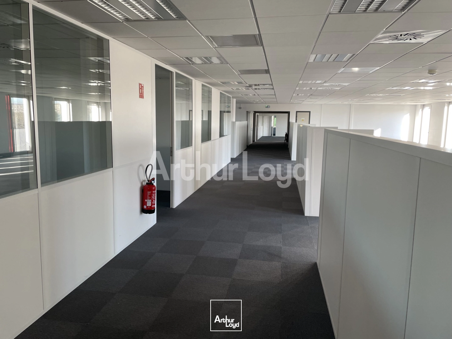 Bureaux - Location - VILLENEUVE D'ASCQ - 59650 - 944-2834 - 7874438