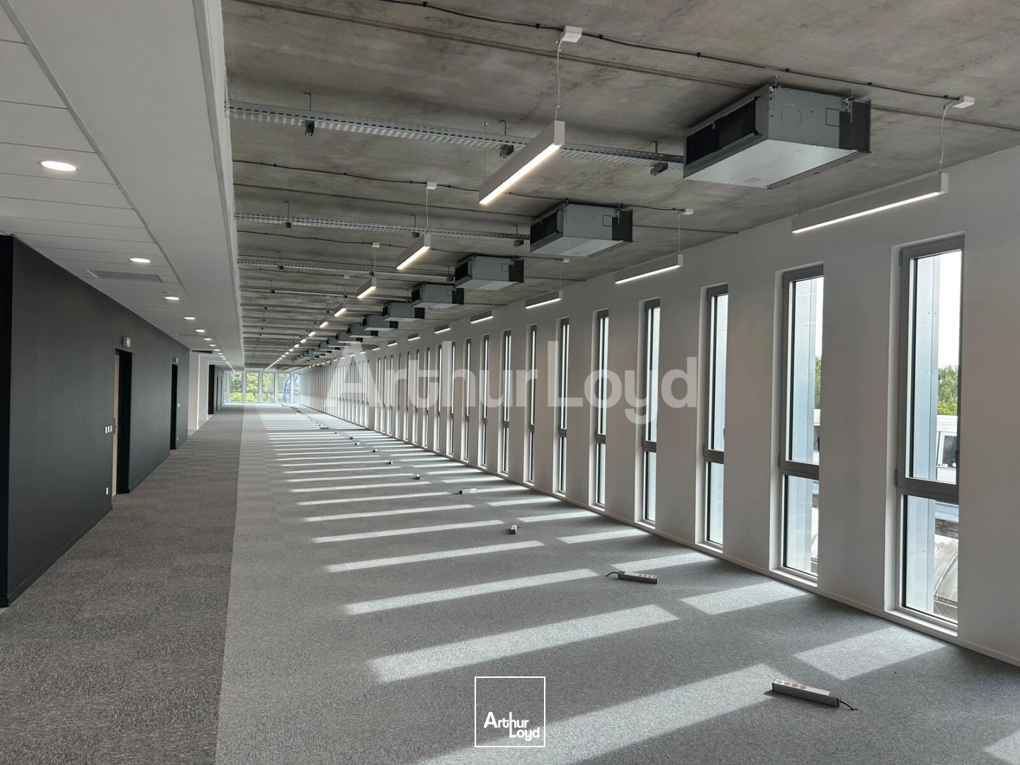 Bureaux - Location - VILLENEUVE D'ASCQ - 59650 - 1189-5234 - 7874461