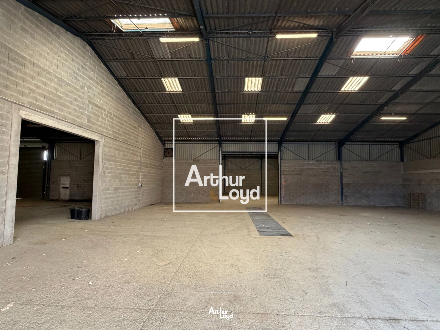 Locaux d'activité & Entrepôts - Vente - COLOMIERS - 31770 - 1018-1018 - 7874668