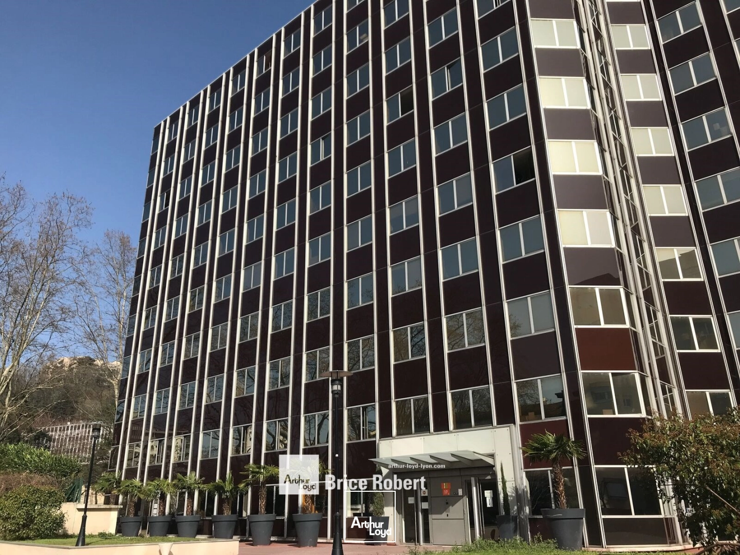 Bureaux - Location - LYON - 69004 - 887-887 - 7876361