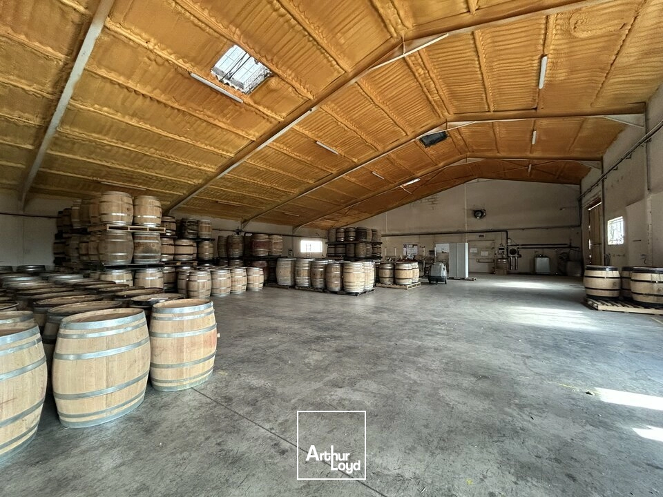 Locaux d'activité & Entrepôts - Location - CRISSEY - 71530 - 660-660 - 7877417