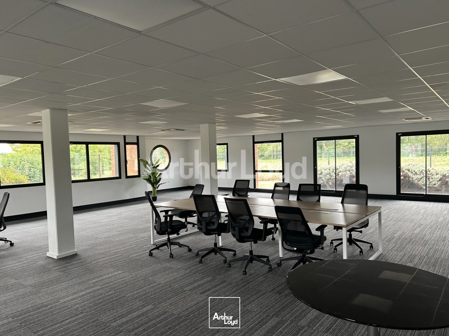 Bureaux - Location - VILLENEUVE D'ASCQ - 59650 - 450-450 - 7879119