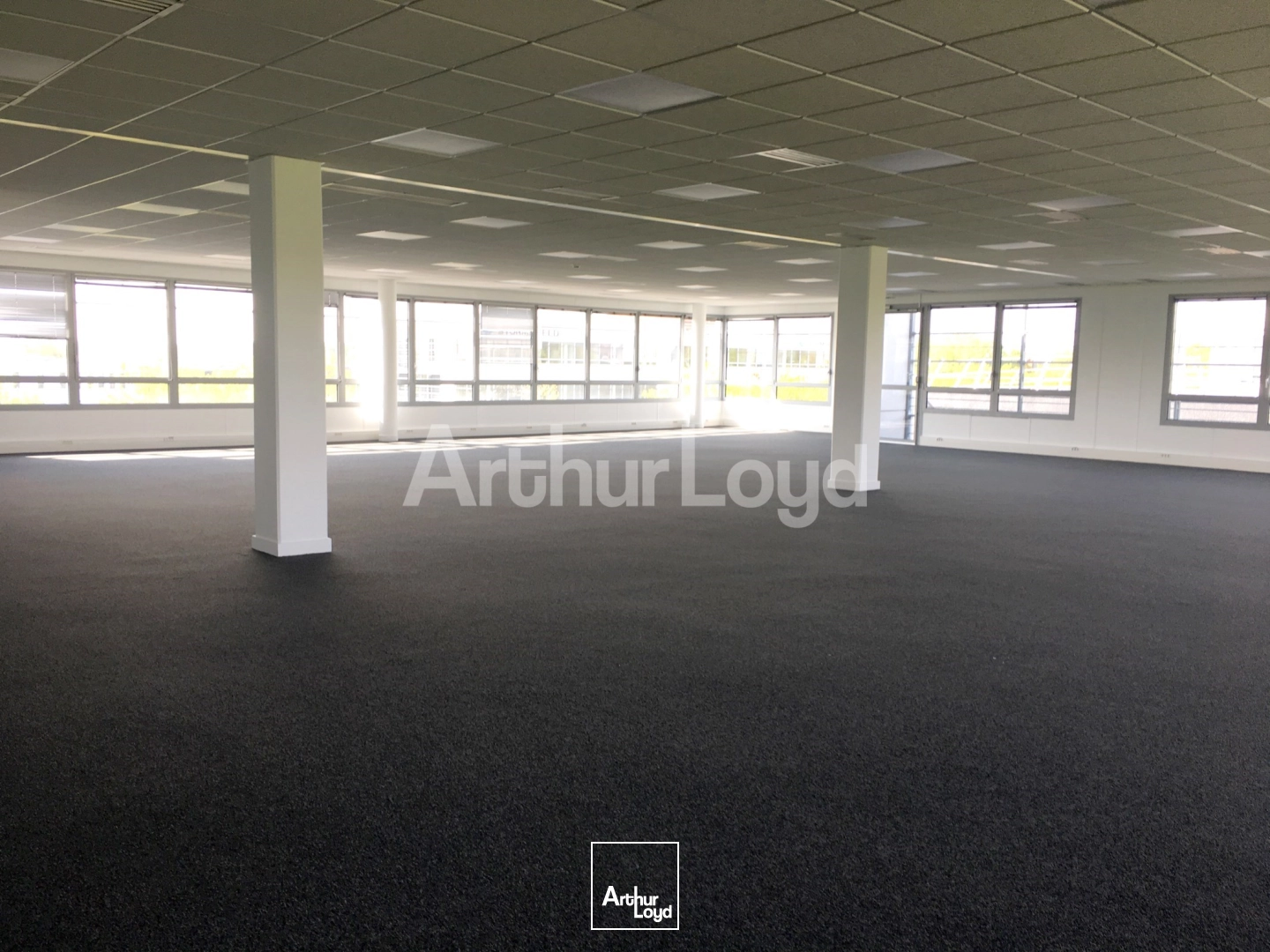 Bureaux - Location - VILLENEUVE D'ASCQ - 59650 - 180-3650 - 7879128