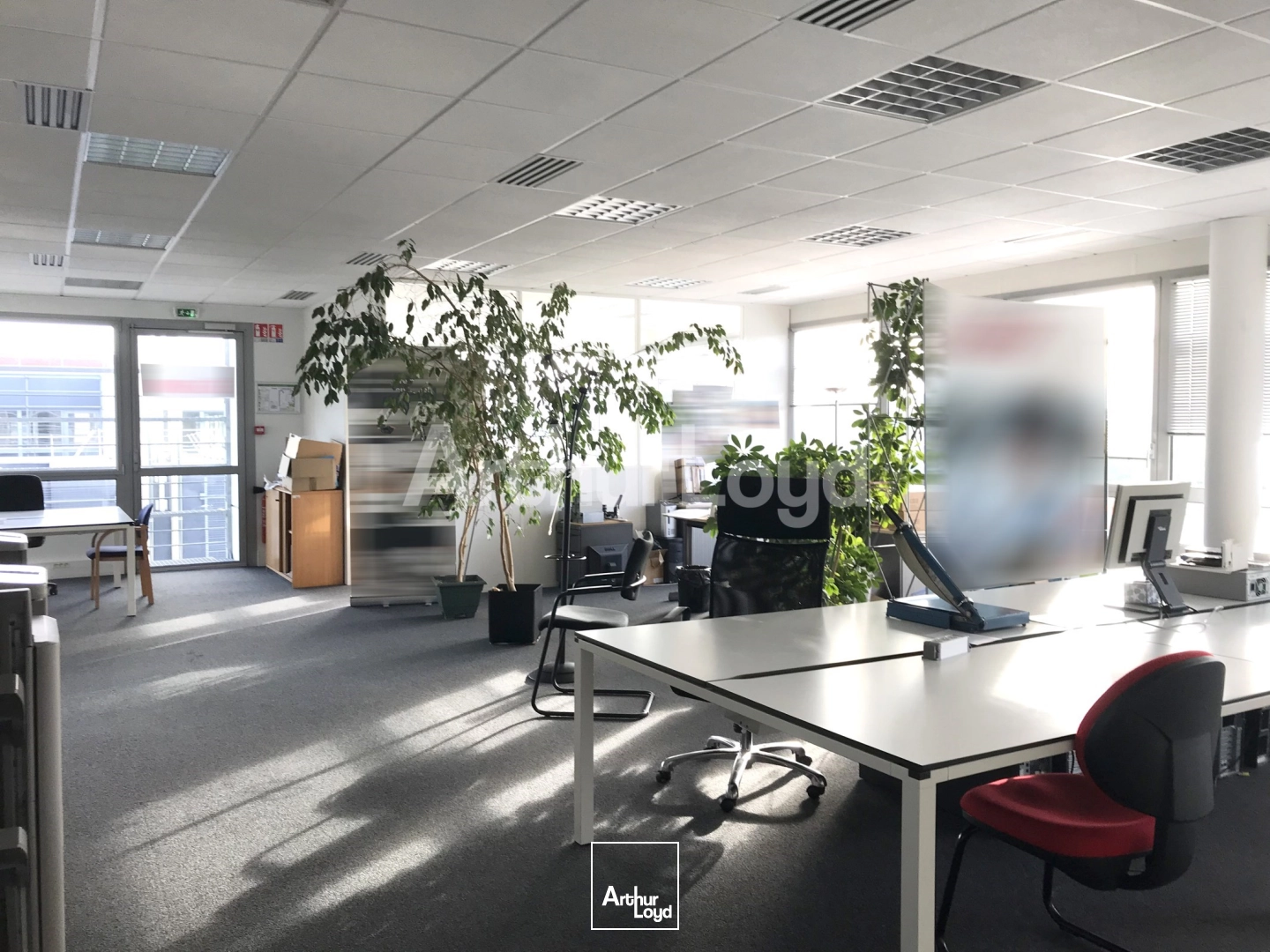 Bureaux - Location - VILLENEUVE D'ASCQ - 59650 - 180-3650 - 7879129