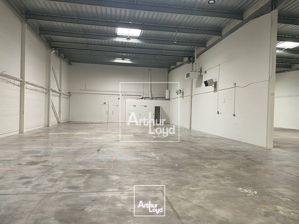Locaux d'activité & Entrepôts - Location - LISSES - 91090 - 538-1686 - 7879720