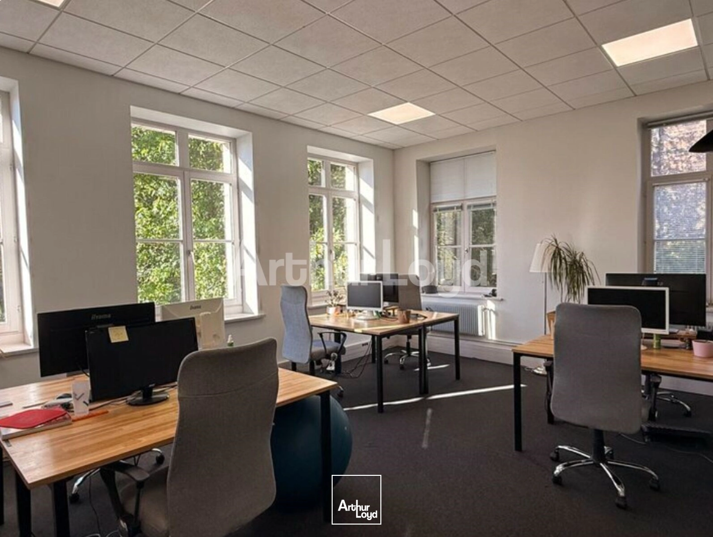 Bureaux - Location - LILLE - 59000 - 224-662 - 7891850