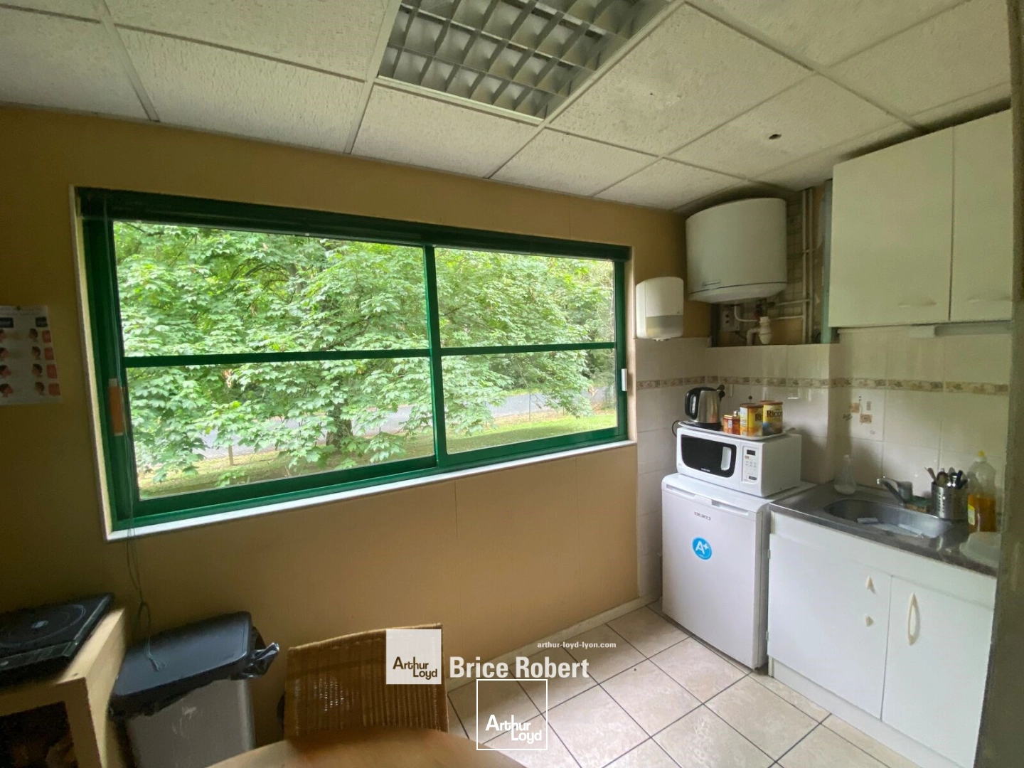Locaux d'activité & Entrepôts - Vente - FLEURIEU SUR SAONE - 69250 - 730-730 - 7896438