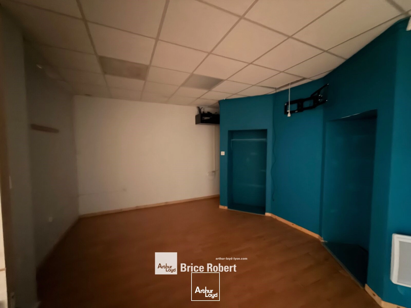 Locaux d'activité & Entrepôts - Location - SAINT PRIEST - 69800 - 270-270 - 7896661