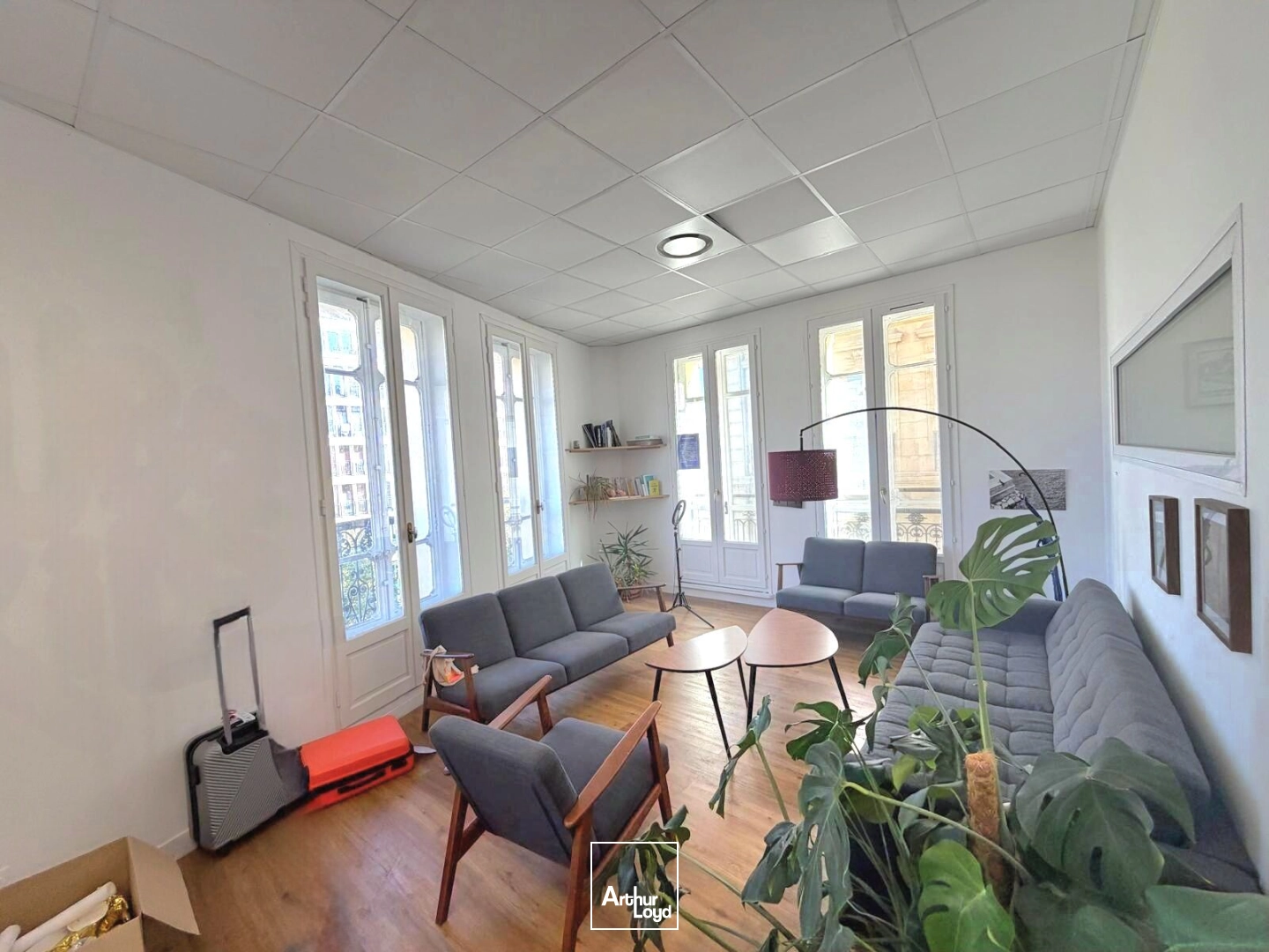 Bureaux - Location - MARSEILLE - 13001 - 135-135 - 7904499