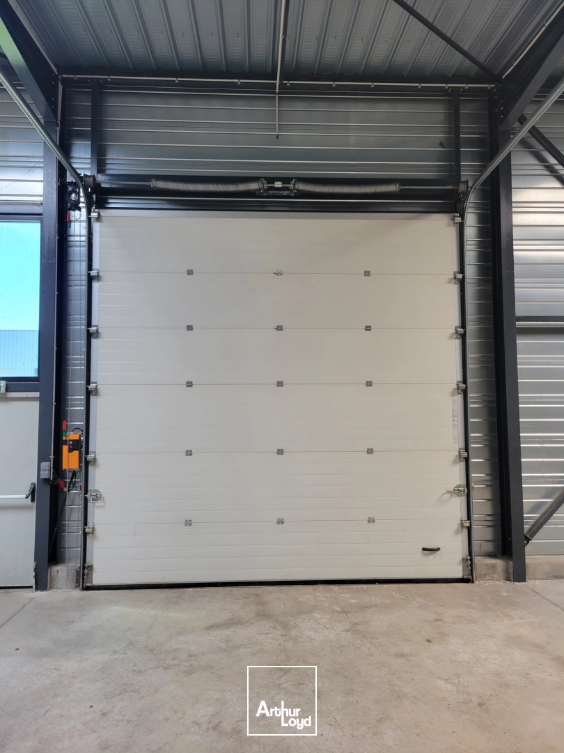 Locaux d'activité & Entrepôts - Location - Montbeliard - 25200 - 298-298 - 7906723