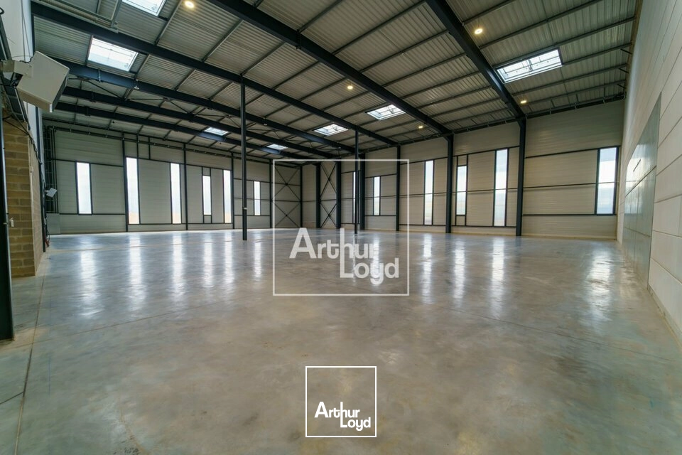 Locaux d'activité & Entrepôts - Location - WISSOUS - 91320 - 637-9501 - 7906968