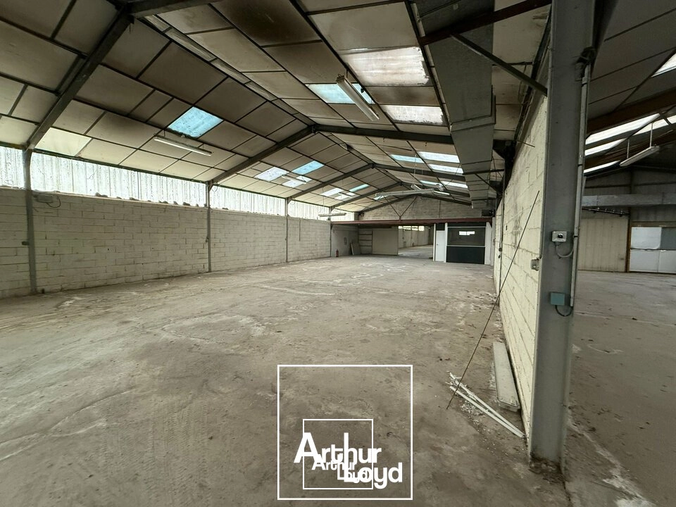 Locaux d'activité & Entrepôts - Vente - TERRASSON-LAVILLEDIEU - 24120 - 3800-3800 - 7909941