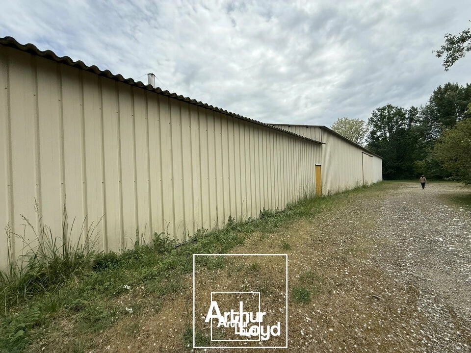 Locaux d'activité & Entrepôts - Vente - TERRASSON-LAVILLEDIEU - 24120 - 3800-3800 - 7909939