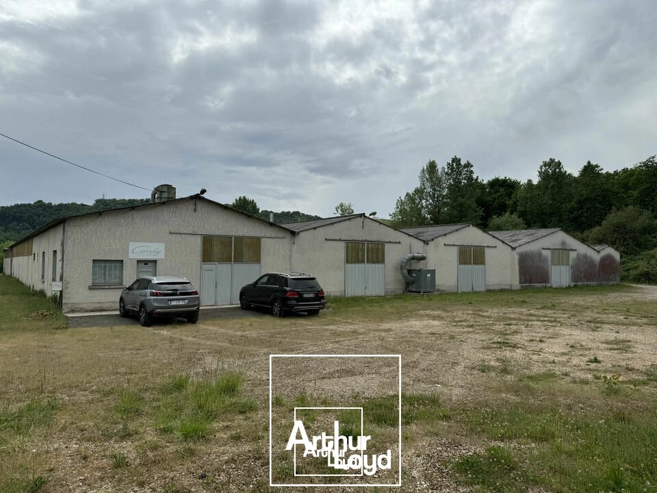 Locaux d'activité & Entrepôts - Vente - TERRASSON-LAVILLEDIEU - 24120 - 3800-3800 - 7909938