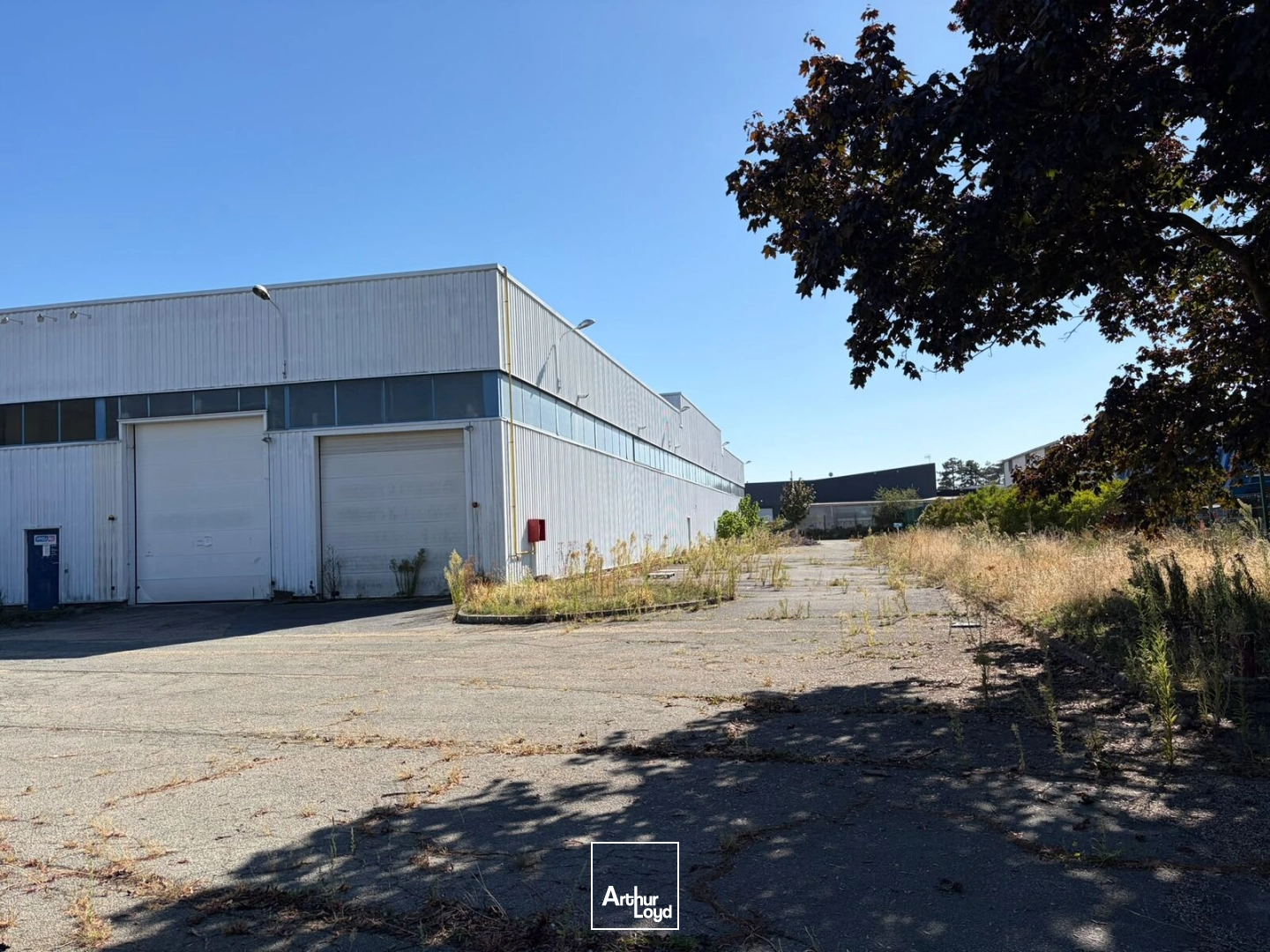 Locaux d'activité & Entrepôts - Location - SAINT OUEN L'AUMONE - 95310 - 4404-4404 - 7910318