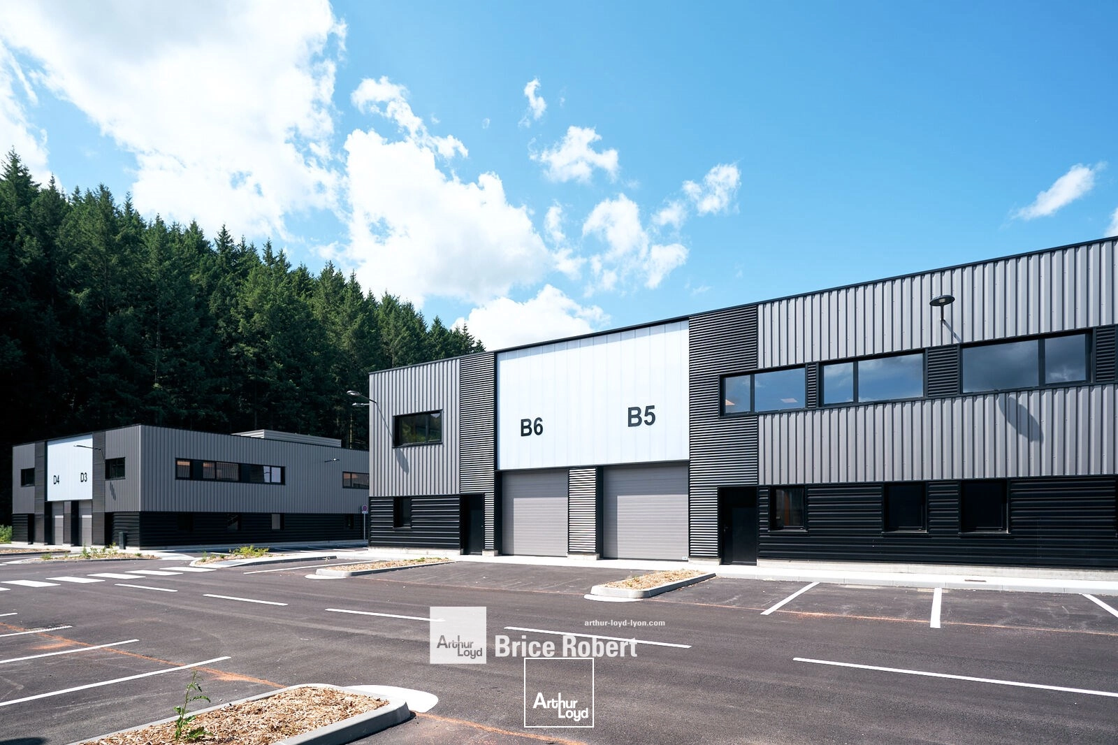 Locaux d'activité & Entrepôts - Location - TARARE - 69170 - 169-2905 - 7910569