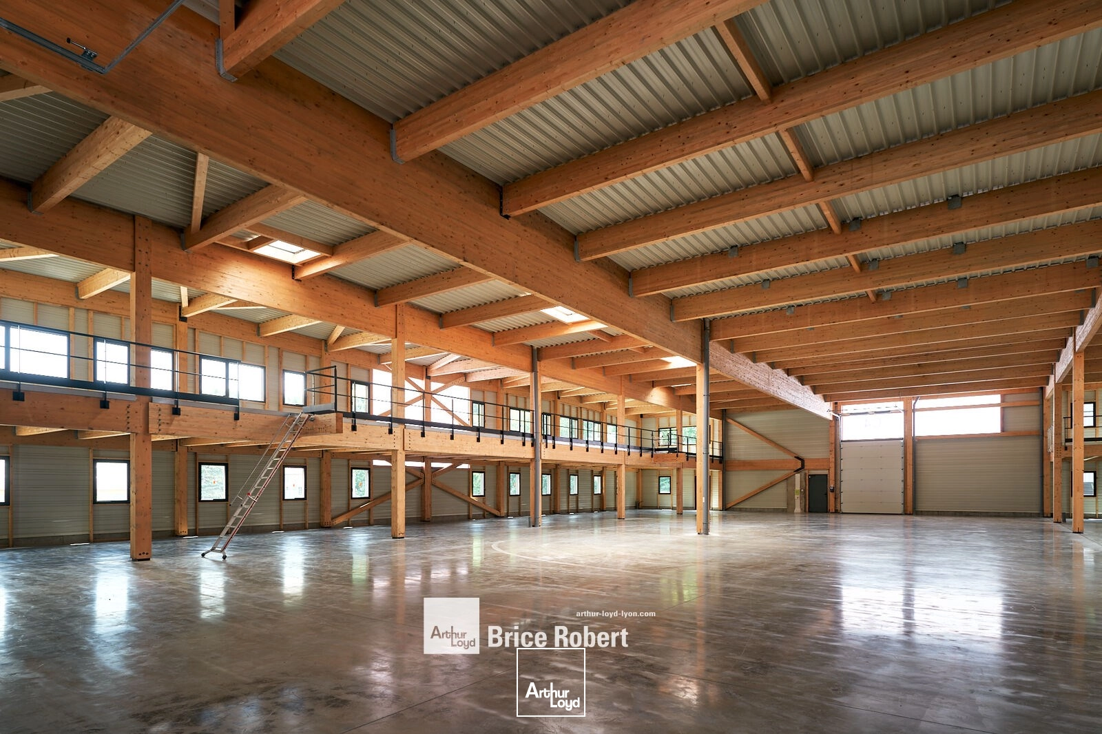 Locaux d'activité & Entrepôts - Location - TARARE - 69170 - 169-2905 - 7910566