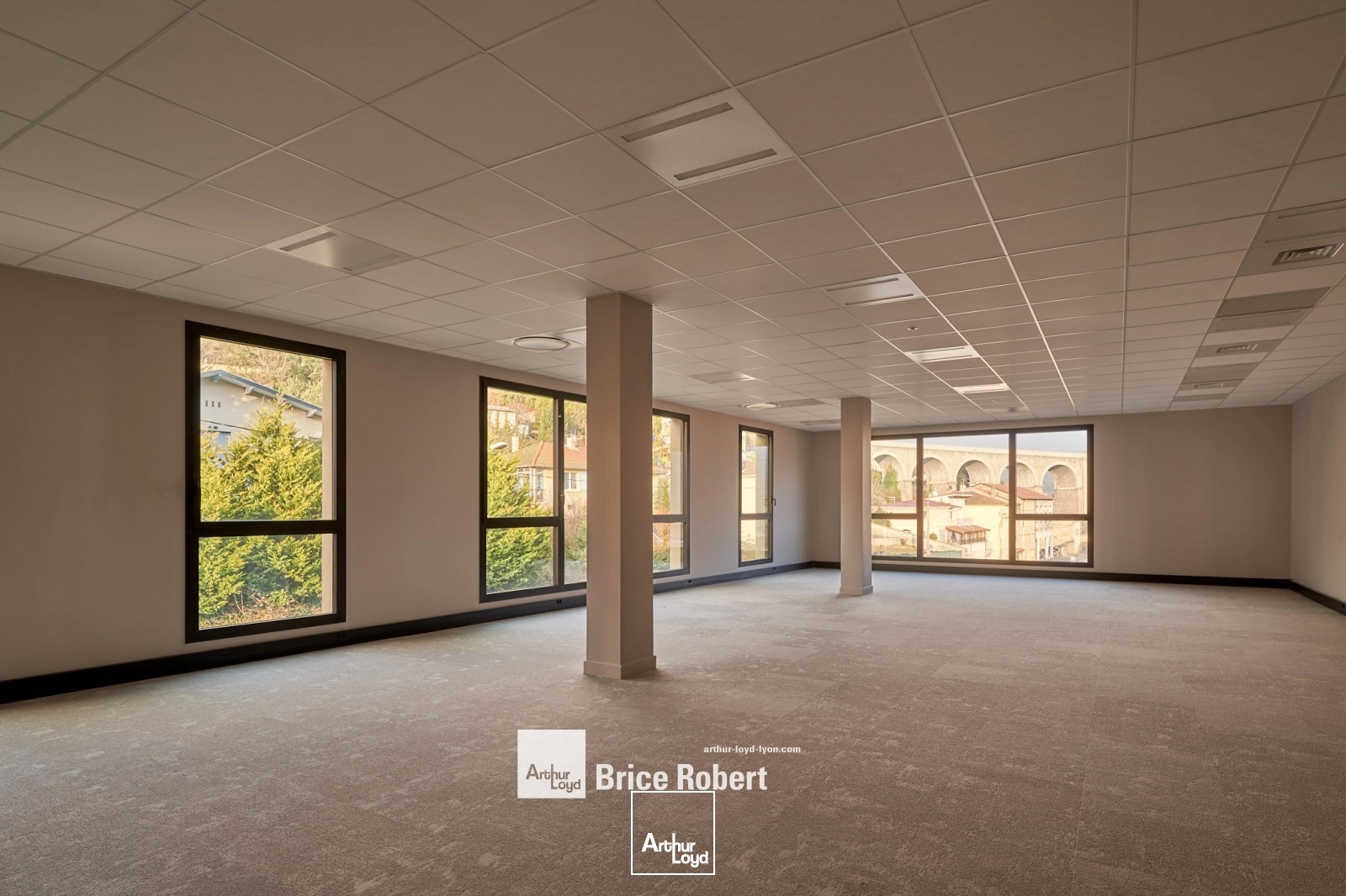 Locaux d'activité & Entrepôts - Location - TARARE - 69170 - 169-2905 - 7910561