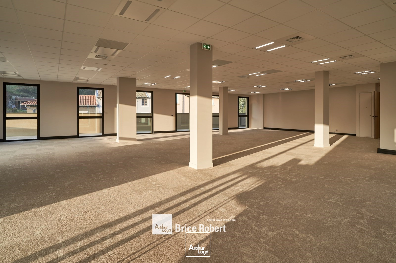 Locaux d'activité & Entrepôts - Location - TARARE - 69170 - 169-2905 - 7910562