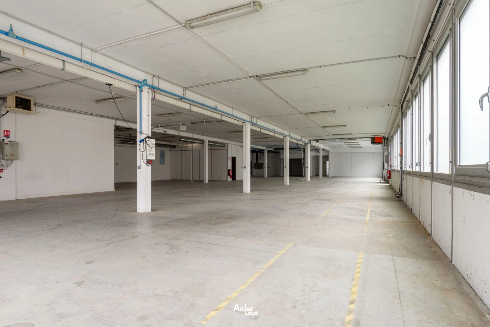 Locaux d'activité & Entrepôts - Location - GENNEVILLIERS - 92230 - 819-1638 - 7916221