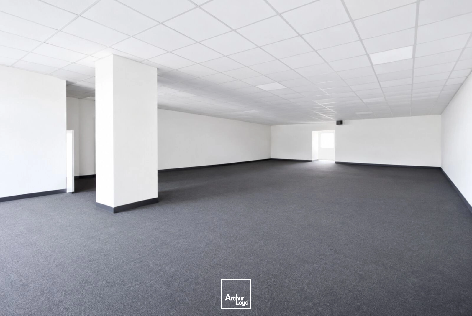 Locaux commerciaux - Location - FEURS - 42110 - 305-305 - 7916948