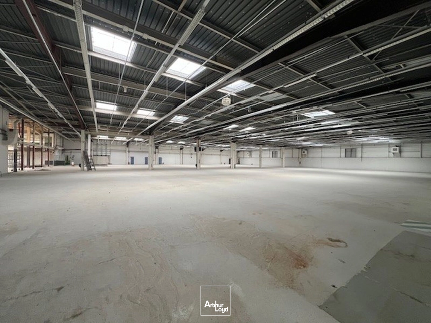 Locaux d'activité & Entrepôts - Location - LES ULIS - 91940 - 1370-18729 - 7919076