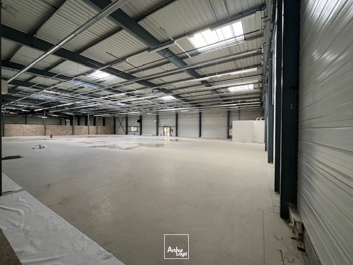 Locaux d'activité & Entrepôts - Location - LES ULIS - 91940 - 1370-18729 - 7919080