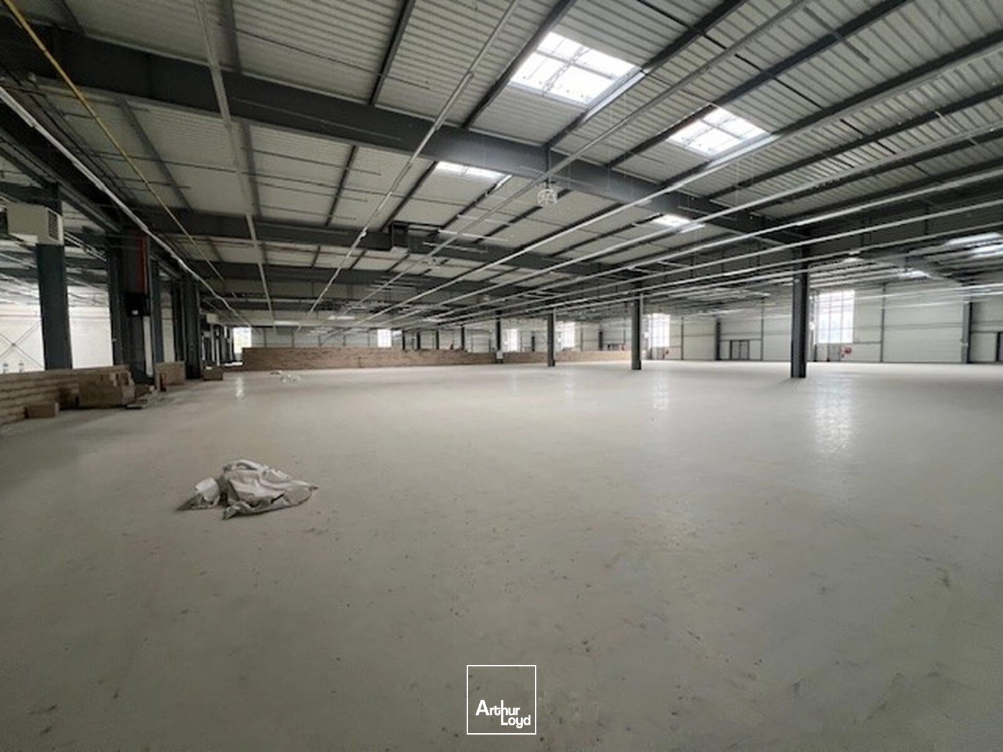 Locaux d'activité & Entrepôts - Location - LES ULIS - 91940 - 1370-18729 - 7919082