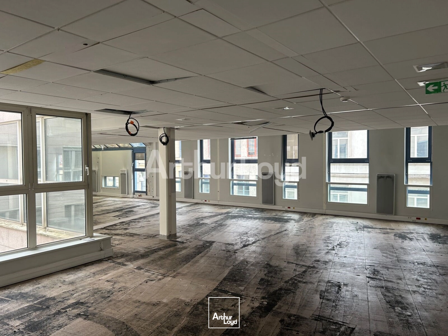 Bureaux - Location - LILLE - 59000 - 1041-1041 - 7933391