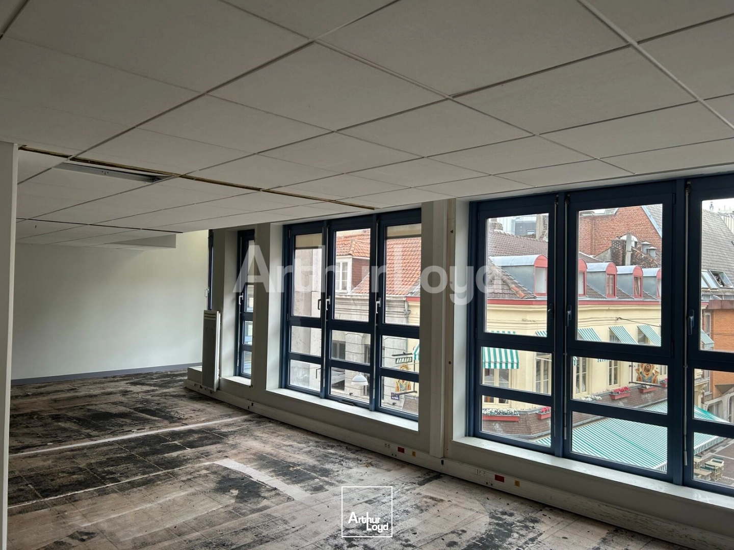 Bureaux - Location - LILLE - 59000 - 1041-1041 - 7933390